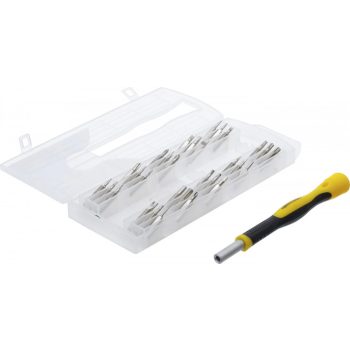   BGS DIY Set biti de precizie + surubelnita 31 buc (BGS 20831)