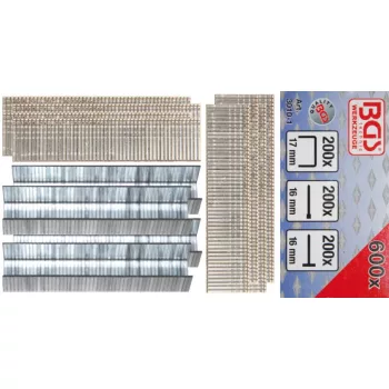BGS technic Set capse si cuie ,600 buc (BGS 3010-1)