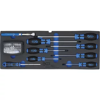   BGS technic Set de surubelnite | set biti cu adaptor | recuperator magnetic | echipare 1/3 pentru dulap de scule, 41 piese (BGS 3343)