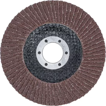   BGS technic Disc şlefuit evantai | Ø 115 mm | K 80 (BGS 3971)