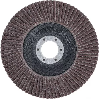   BGS technic Disc şlefuit evantai | Ø 125 mm | K 40 (BGS 3974)