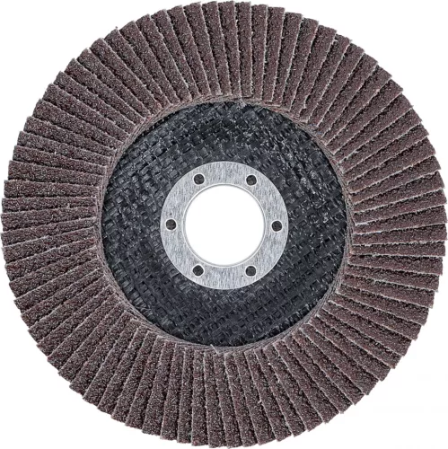 BGS technic Disc şlefuit evantai | Ø 125 mm | K 40 (BGS 3974)