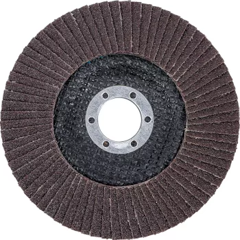   BGS technic Disc şlefuit evantai | Ø 125 mm | K 80 (BGS 3976)