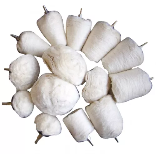 BGS technic Sortiment capete polişare | Antrenare 6,3 mm (1/4") | 14 piese (BGS 3995)