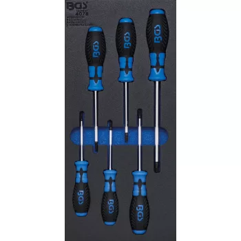   BGS technic Şurubelniţe Profil T (pentru Torx) | 6 piese : Suport organizator pentru cărucior 1/3 (BGS 4078)
