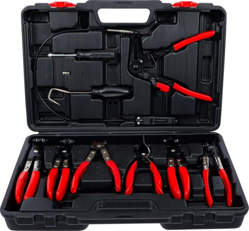 BGS DIY Set cleşti coliere de furtun | 10 piese (BGS 421)