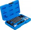 BGS technic Bit/Set biţi pentru alternator | Antrenare 12,5 mm (1/2") | 13 piese (BGS 4246)