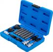 BGS technic Bit/Set biţi pentru alternator | Antrenare 12,5 mm (1/2") | 13 piese (BGS 4246)
