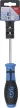 BGS technic Surubelnita torx , T30 x 100 mm (BGS 4922)