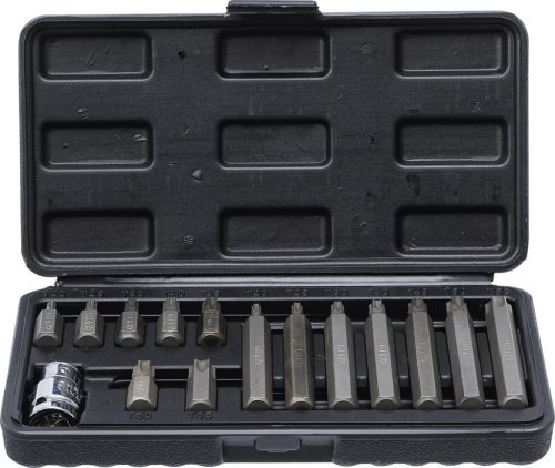BGS DIY Set biţi | Antrenare hexagon exterior 10 mm (3/8") | Profil T (pentru Torx) | 15 piese (BGS 5040)
