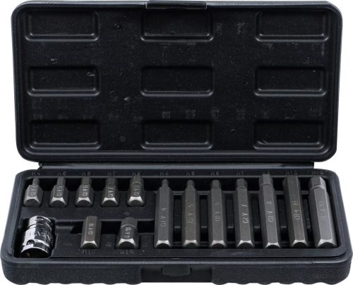 BGS DIY Set biţi | Antrenare hexagon exterior 10 mm (3/8") | hexagon interior | 15 piese (BGS 5070)