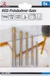 BGS DIY Set burghie freză | titan nitrurat | 3 - 8 mm | 5 piese (BGS 50795)