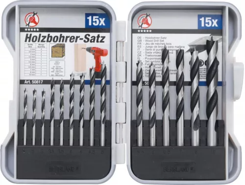BGS DIY Set burghie pentru lemn | 3 - 10 mm | 15 piese (BGS 50817)