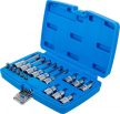 BGS technic Set biţi | 6,3 mm (1/4") / 12,5 mm (1/2") | hexagon interior | 18 piese (BGS 5171)
