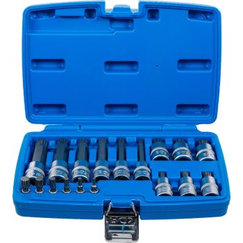   BGS technic Set biţi | 6,3 mm (1/4") / 12,5 mm (1/2") | Dantură interioară multiplă (pentru XZN) | 18 piese (BGS 5172)