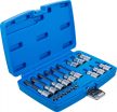 BGS technic Set biţi | 6,3 mm (1/4") / 12,5 mm (1/2") | Profil T (pentru Torx) cu gaură | 18 piese (BGS 5174)
