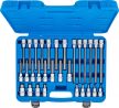 BGS technic Set biţi | 12,5 mm (1/2") | Imbus | 30 piese (BGS 5181)