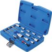 BGS technic Set adaptoare de bituri / adaptoare de chei tubulare | 16 piese (BGS 6779)