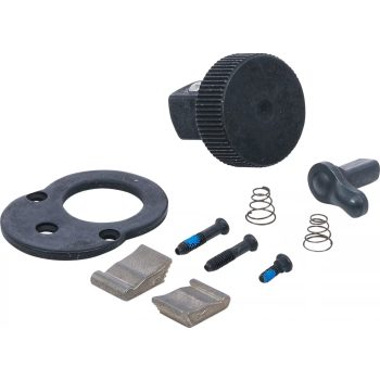   BGS technic Set reparaţie pentru cheie dinamometrică | pentru BGS 7182 (BGS 7182-REPAIR)