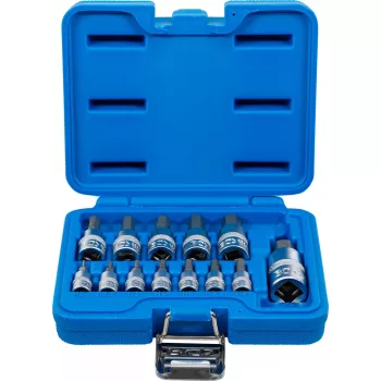   BGS technic Set biţi | 6,3 mm (1/4") / 10 mm (3/8") / 12,5 mm (1/2") | hexagon interior 2 - 14 mm | 13 piese (BGS 74257)