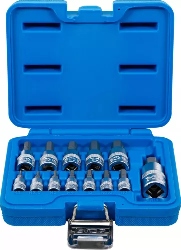 BGS technic Set biţi | 6,3 mm (1/4") / 10 mm (3/8") / 12,5 mm (1/2") | hexagon interior 2 - 14 mm | 13 piese (BGS 74257)