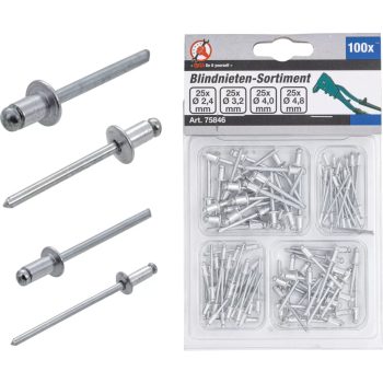   BGS DIY Sortiment nituri-pop | Ø 2,4 - 4,8 mm | 100-tlg. (BGS 75846)