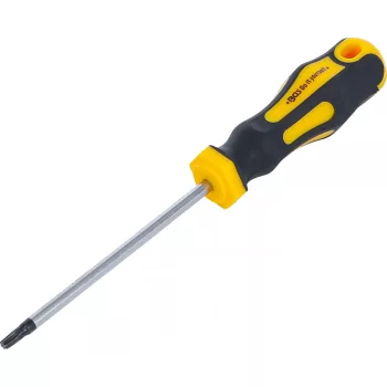   BGS DIY Şurubelniţă | Profil T (pentru Torx) T20 | Lungime lamă 100 mm (BGS 7844-T20)