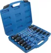 BGS technic Set șurubelnițe, cu 6,3 mm (1/4 ") pătrat interior, 12 buc. (BGS 7896)
