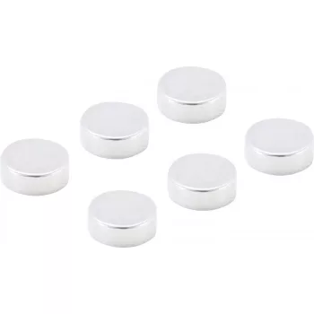   BGS DIY Set magneţi | extra puternici | Ø 8 mm | 6 piese (BGS 79907)