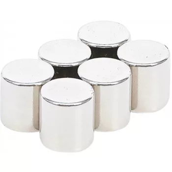   BGS DIY Set magneţi | extra puternici | Ø 9,5 mm | 6 piese (BGS 79919)