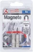 BGS DIY Set magneţi | extra puternici | Ø 9,5 mm | 6 piese (BGS 79919)
