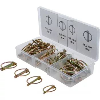   BGS technic Sortiment siguranţe cu inel | 50 piese (BGS 8087)