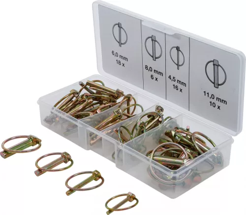 BGS technic Sortiment siguranţe cu inel | 50 piese (BGS 8087)