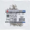 BGS DIY Şuruburi multifuncţionale | Profil T (pentru Torx) T10 | 3,0 x 20 mm | 260 bucăţi (BGS 80990)
