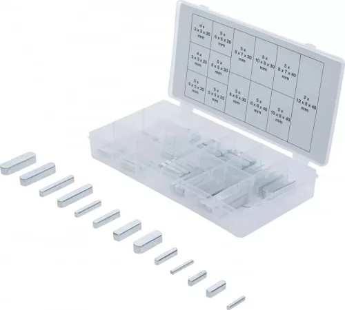 BGS technic Sortiment pene de ajustare | 60 piese (BGS 8141)