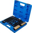 BGS technic Set extractoare pentru arbori cotiti | 12 piese (BGS 8262)