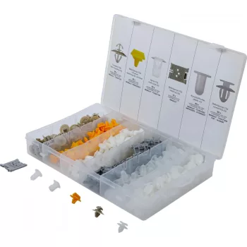   BGS technic Sortiment cleme fixare autovehicule pentru Renault | 300 piese (BGS 9048)