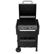 BORMANN ELITE grătar gaz 2 arzătoare FORGE cu grătar din fontă (BBQ6020)
