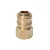 BORMANN Pro Cuplaj rapid aer (femelă), filet interior 1/4" (BHT6271)