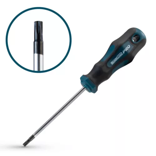 BORMANN Pro șurubelniță Torx T25x100 mm S2 (BHT7034)