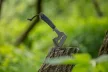 NEO Topor multifuncțional, oțel inoxidabil, lungime totală 26cm, lamă: 8cm, mâner Paracord, funcție de cheie (63-118)