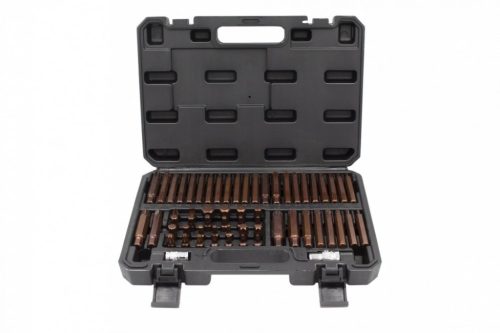 KROFtools Set biti 60 buc, Torx, XZN, Imbus, Ribe, Patrate (6160)